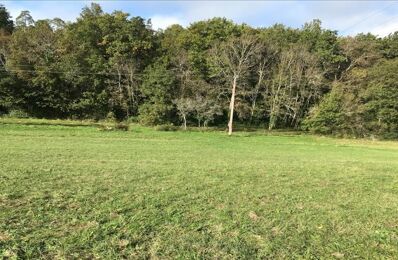 vente terrain 47 676 € à proximité de Grun-Bordas (24380)