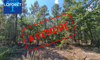 Terrain  7032 m² à vendre à Saint-Trinit (84390)