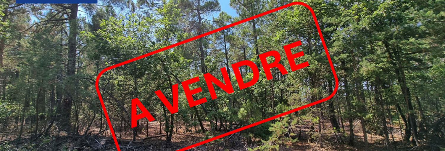 Terrain  7032 m² à vendre à Saint-Trinit (84390)