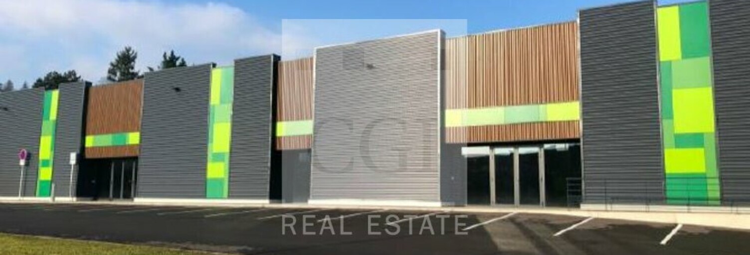 Commerce  2950 m² à louer à Anse (69480)