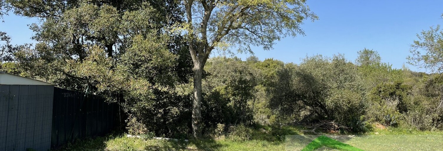 Terrain  783 m² à vendre à Laurens (34480)