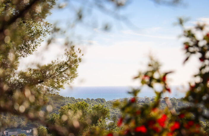 TERRAIN A BATIR LA VALETTE DU VAR-LA CALABRO — photo 4