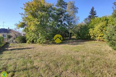 Maison 1 pièces 45000 €