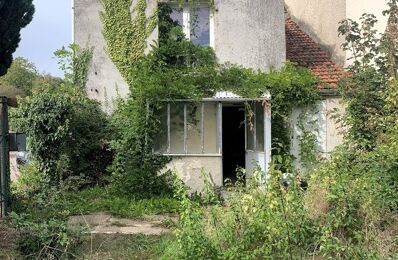 vente maison 50 000 € à proximité de Noidant-le-Rocheux (52200)