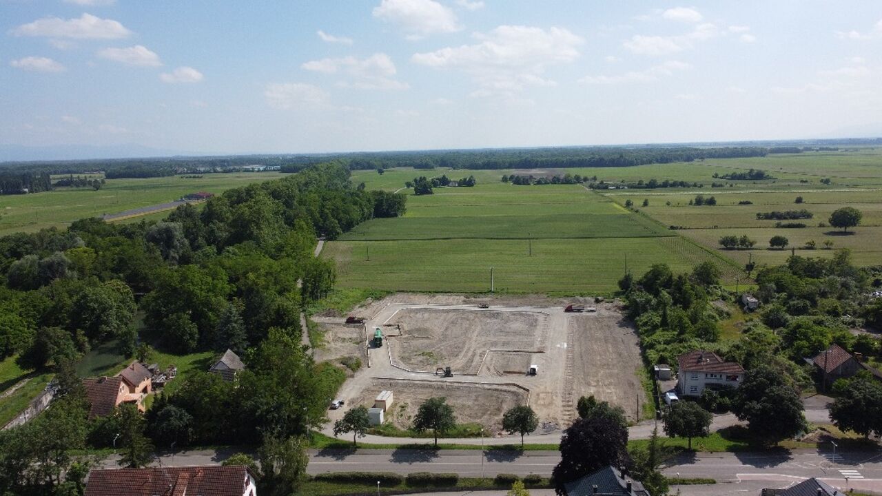 terrain  pièces 485 m2 à vendre à Marckolsheim (67390)