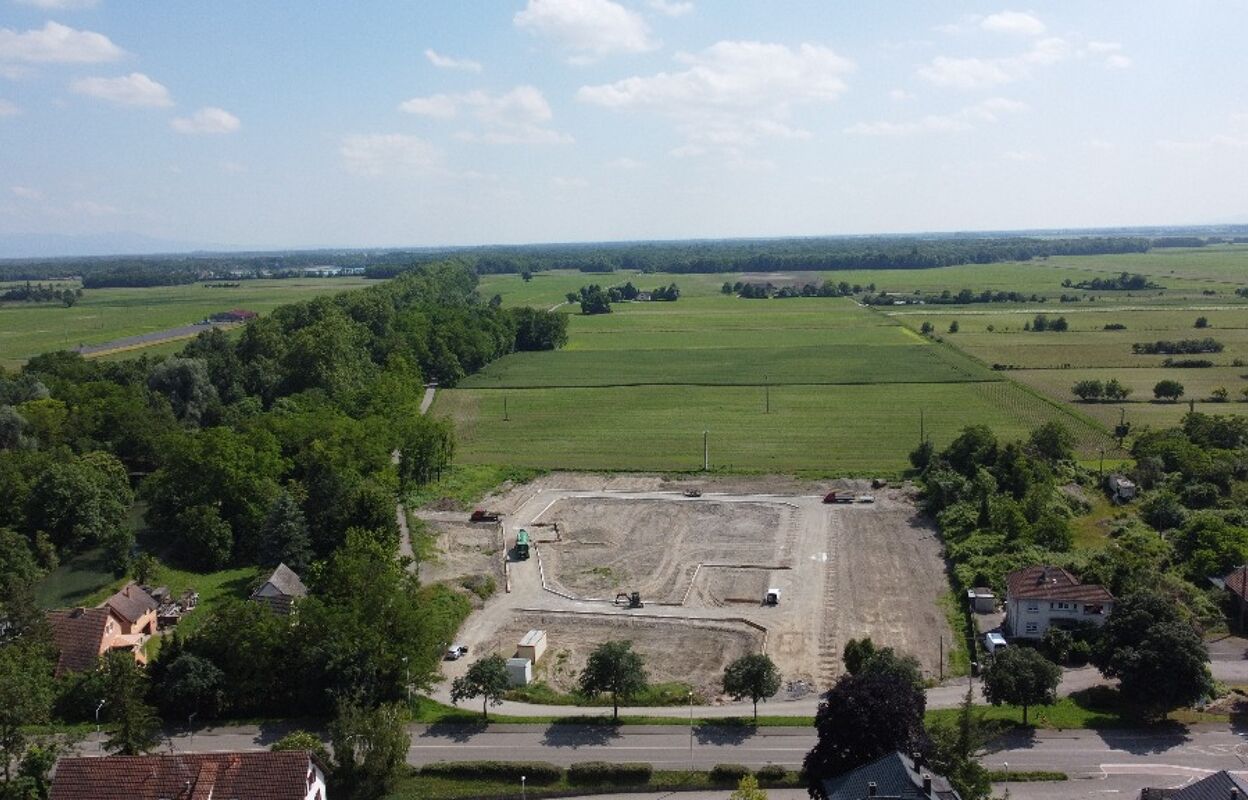 terrain  pièces 485 m2 à vendre à Marckolsheim (67390)