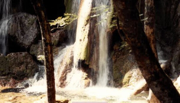 Autres 4 pièces  à vendre Virieu-le-Grand 01510