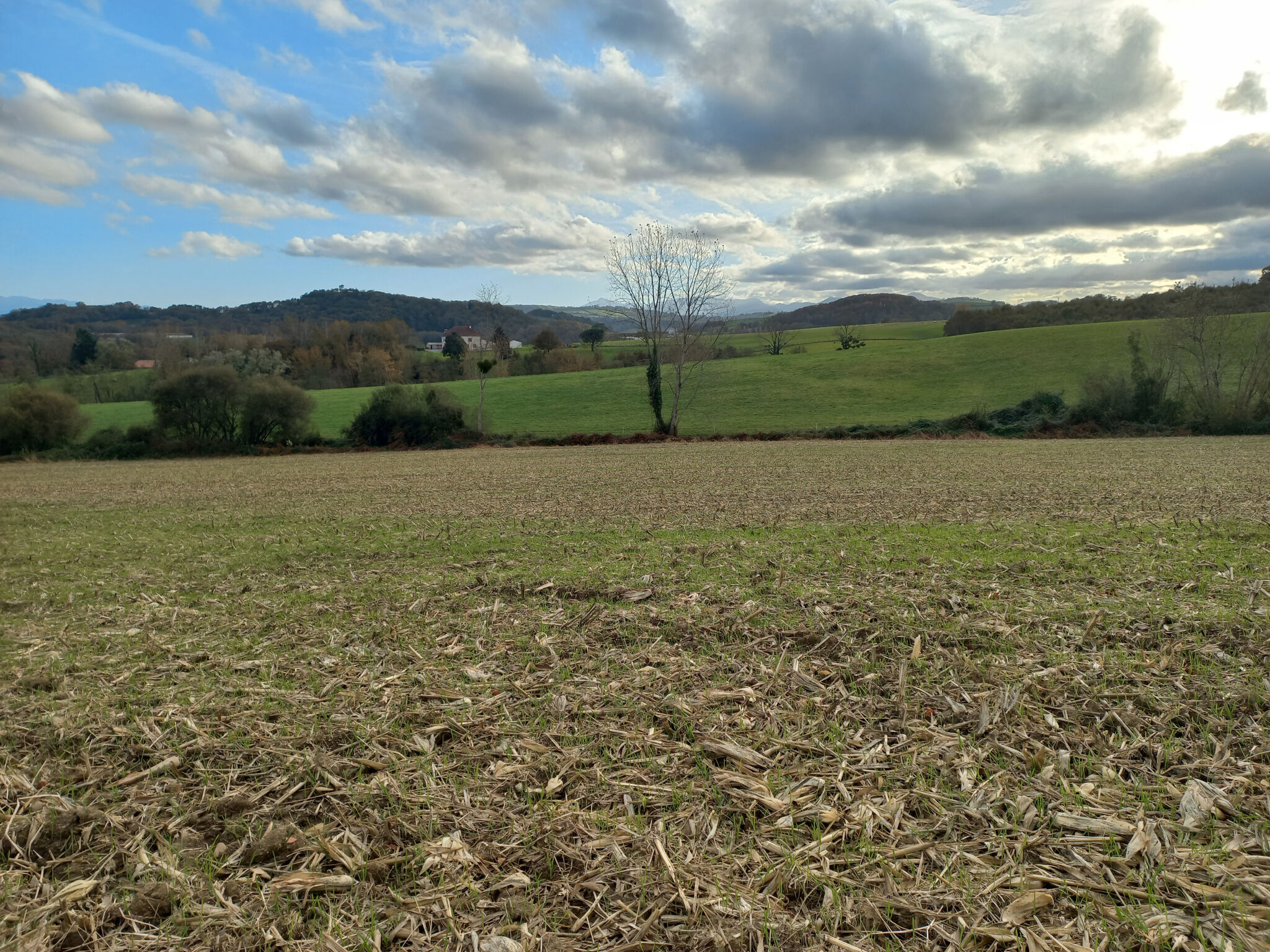 Terrain  à vendre Aïcirits-Camou-Suhast 64120