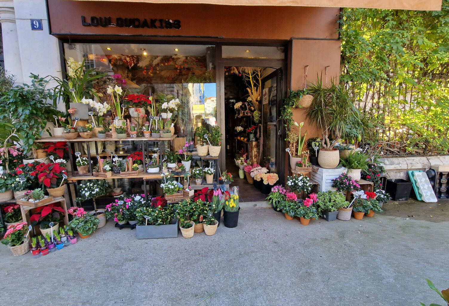 NICE CARRE D'OR FLEURISTE — photo 1