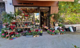 Commerce 2 Pièces 46 m² à vendre à Nice (06000)