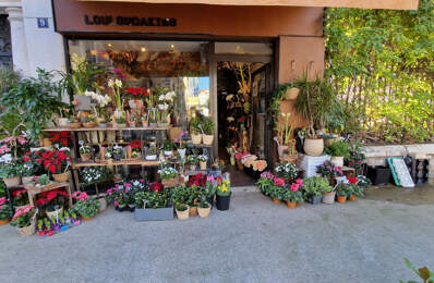NICE CARRE D'OR FLEURISTE — photo du bien