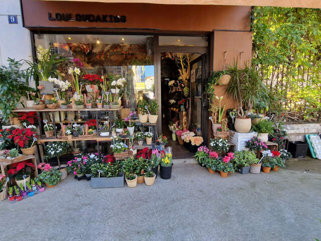 NICE CARRE D'OR FLEURISTE — photo du bien