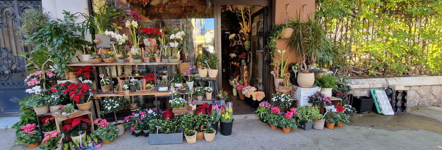 Commerce 2 Pièces 46 m² à vendre à Nice (06000)