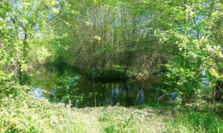 Terrain  5853 m² à vendre à Autevielle-Saint-Martin-Bideren (64390)