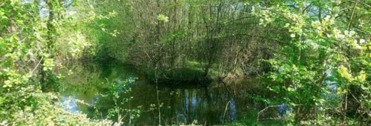 Terrain  5853 m² à vendre à Autevielle-Saint-Martin-Bideren (64390)