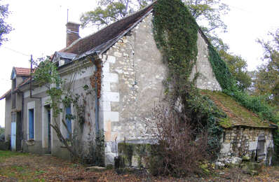 vente maison 44 000 € à proximité de Châtillon-sur-Cher (41130)