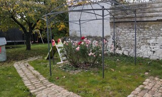 Photo N° 6