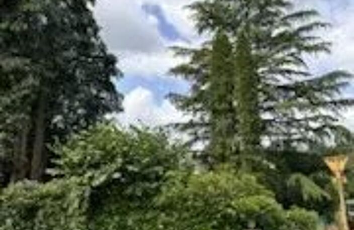 BAGNOLES DE L'ORNE - Terrain constructible — photo 3