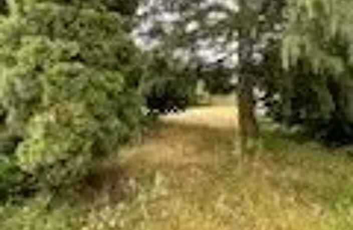 BAGNOLES DE L'ORNE - Terrain constructible — photo 5