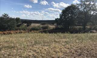 Terrain  1397 m² à vendre à Quinssaines (03380)