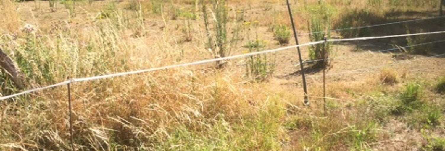 Terrain  1000 m² à vendre à Montbard (21500)