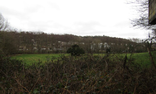 Photo N° 8