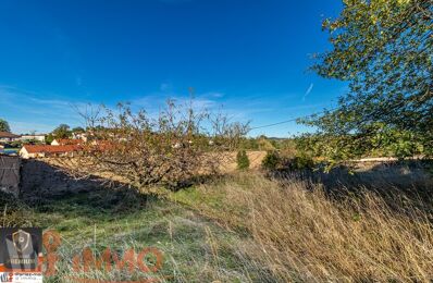 terrain  pièces 740 m2 à vendre à Haute-Rivoire (69610)