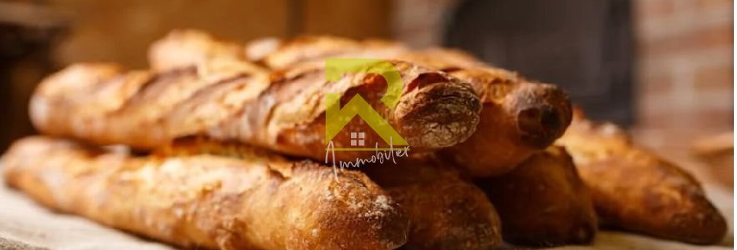 Commerce 4 Pièces 250 m² à vendre à Agde (34300)