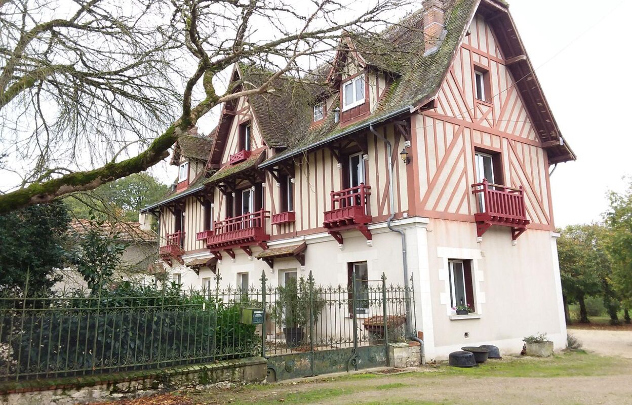 maison 12 pièces 235 m2 à vendre à Châtillon-sur-Cher (41130)