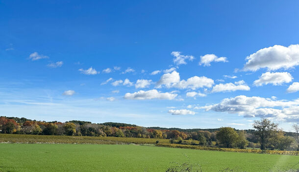 Terrain  à vendre Saint-Clément-de-Rivière 34980