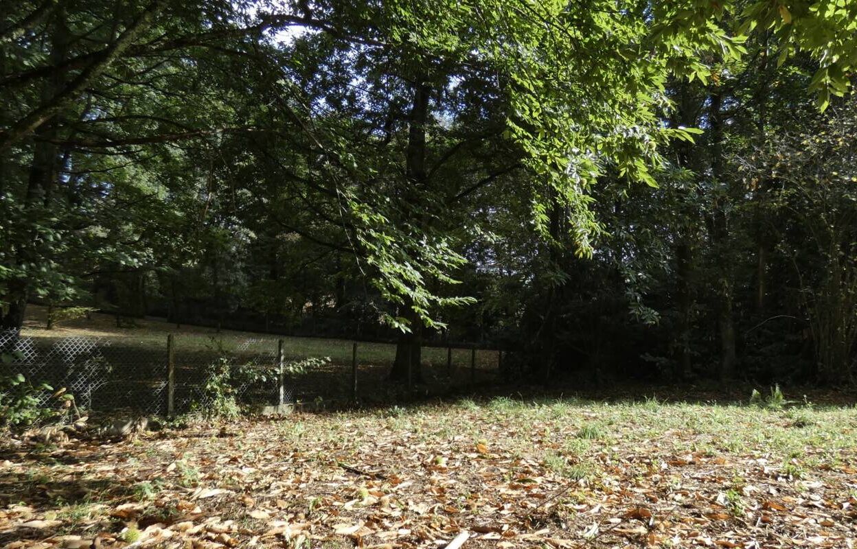 terrain  pièces 1300 m2 à vendre à Brive-la-Gaillarde (19100)