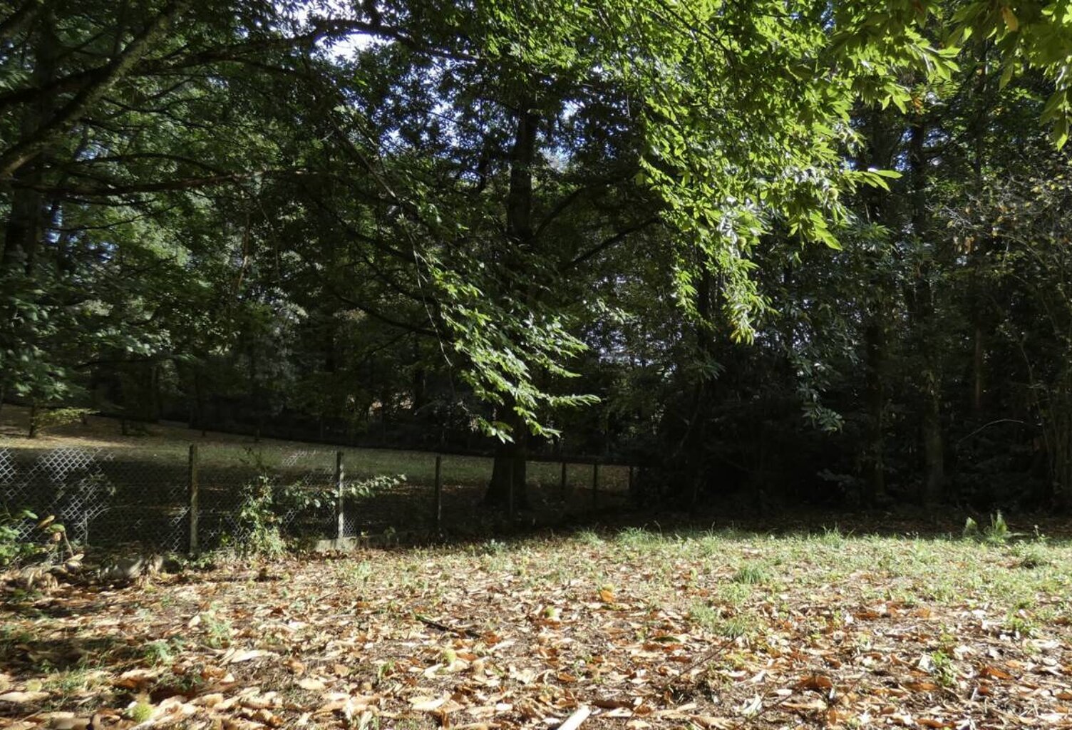 Terrain 1300 m2 sur les hauteurs de la Pigeonnie — photo 1
