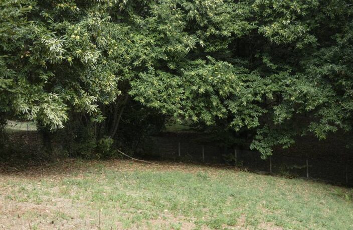 Terrain 1300 m2 sur les hauteurs de la Pigeonnie — photo 3