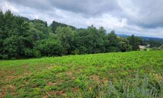 Terrain  4856 m² à vendre à Lanobre (15270)