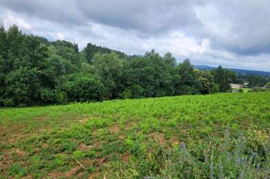 Terrain  34000 €