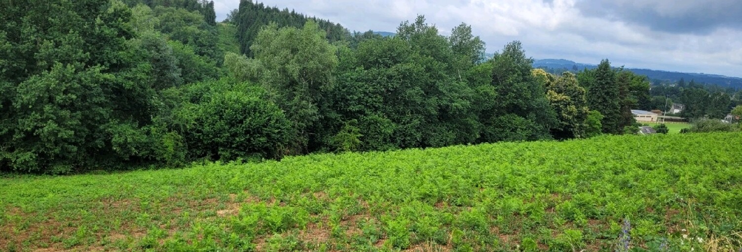 Terrain  4856 m² à vendre à Lanobre (15270)