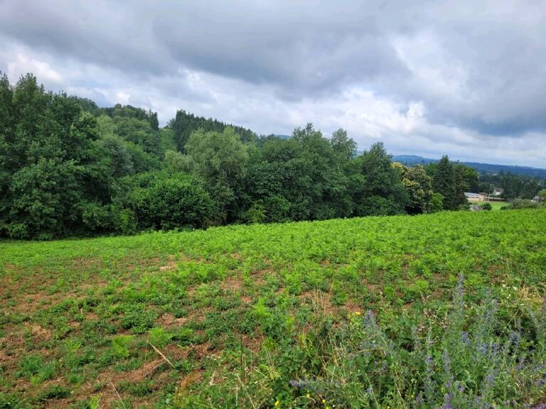 Terrain à construire  4856 m²  — photo 1