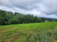 Terrain à construire  4856 m²  — photo 2