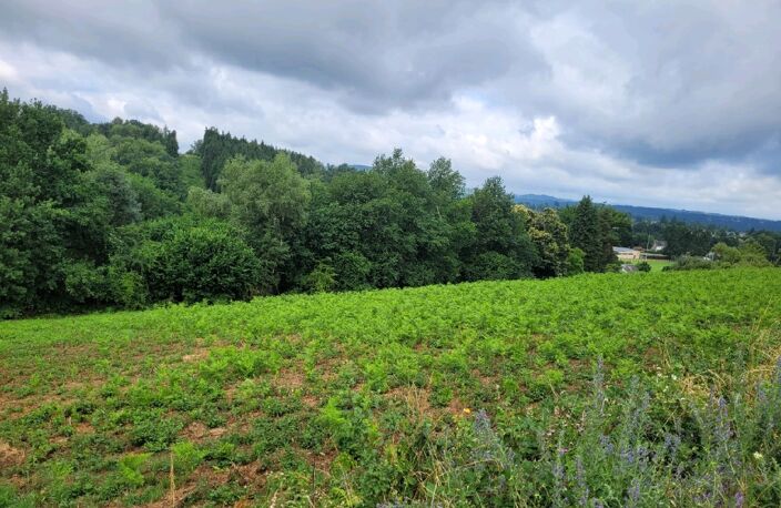 Vente terrain  4856 m² Lanobre (15270) — photo 2