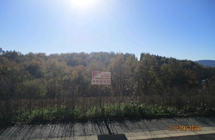 Vente terrain  4856 m² Lanobre (15270) — photo 3