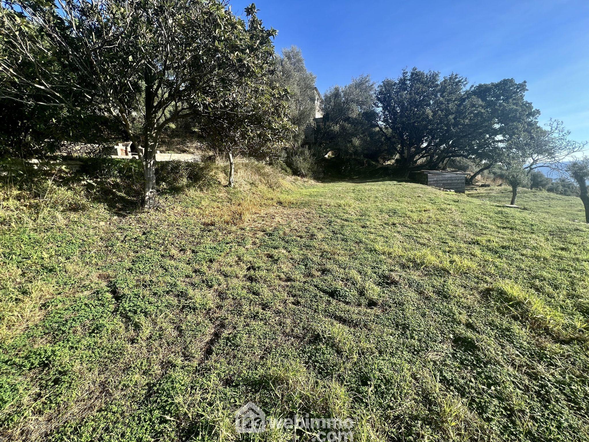 Photo Terrain constructible - 1865m² - Bastia image 3/4