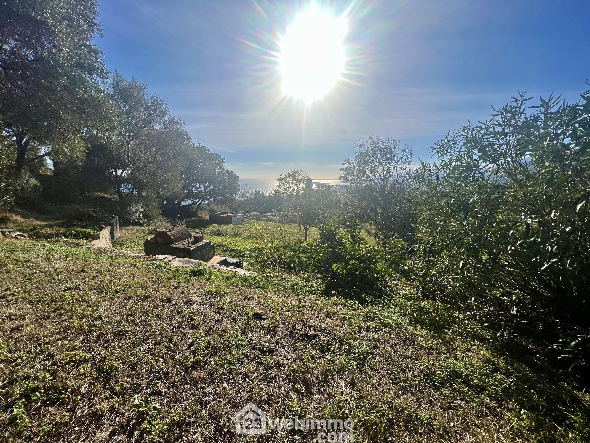 Photo Terrain constructible - 1865m² - Bastia image 4/4