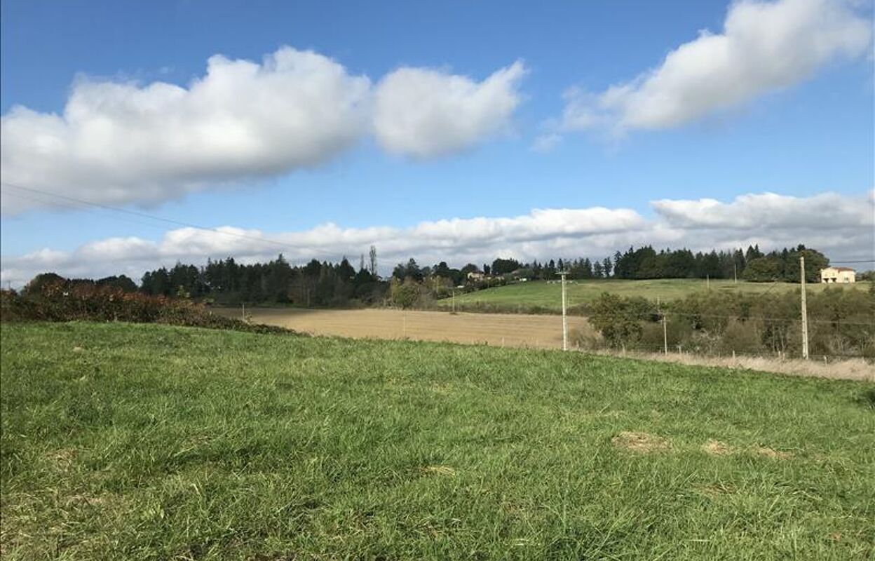 terrain  pièces 3854 m2 à vendre à Mirande (32300)