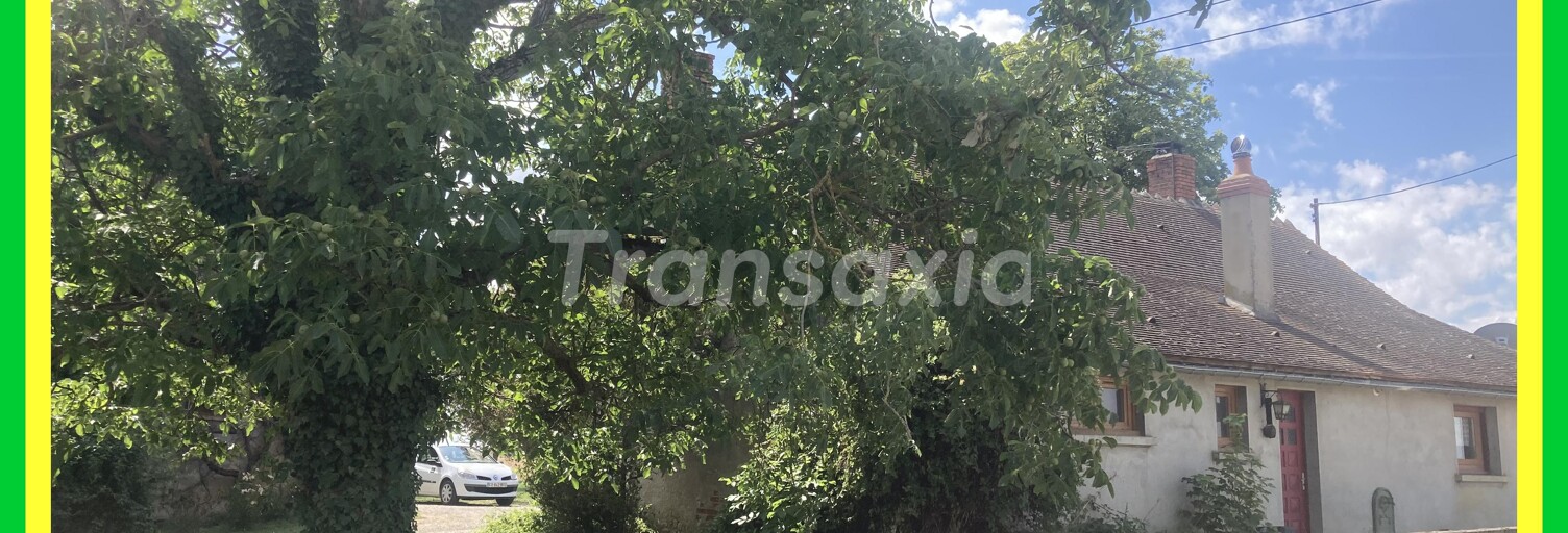 Maison 6 Pièces 123 m² à vendre à Avord (18520)