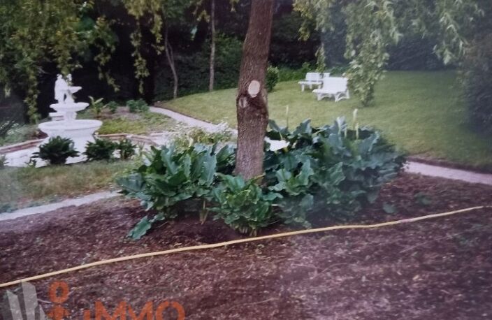 Propriété — photo 4