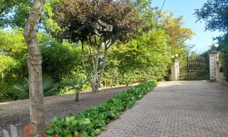 Photo N° 6