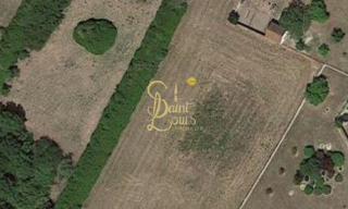 Terrain  7113 m² à vendre à Richelieu (37120)