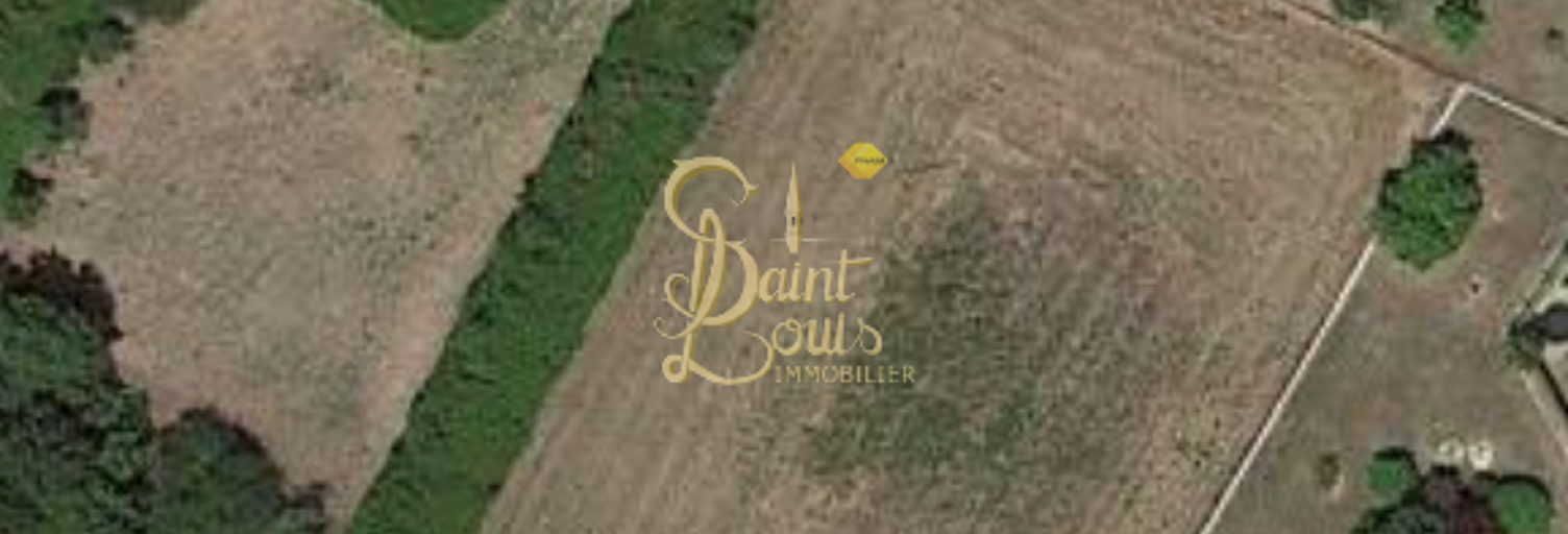 Terrain  7113 m² à vendre à Richelieu (37120)