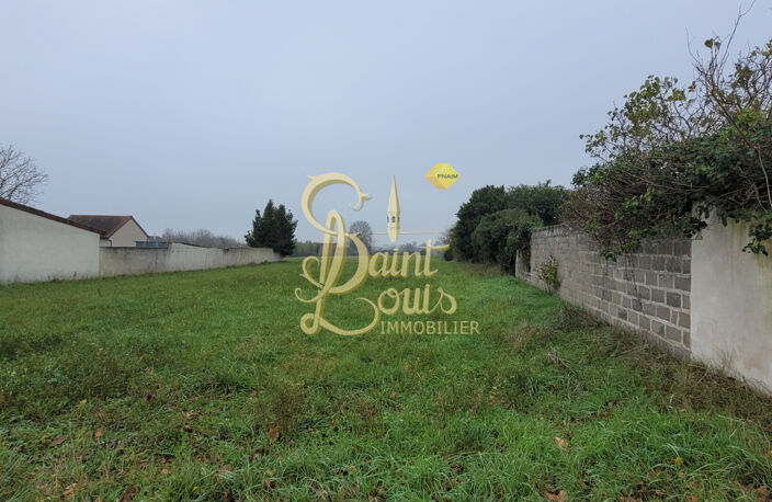 TERRAIN AVEC UNE PARTIE CONSTRUCTIBLE — photo 2