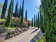 VIDAUBAN - VILLA MODERNE 207 M² — photo 2